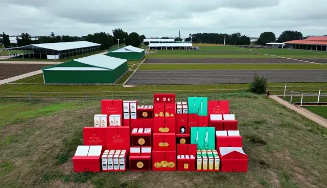 食品包装选型中的关键性能考量