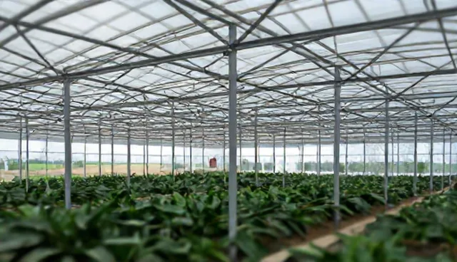办公套装使用中的维护误区与应对策略
